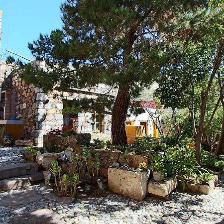 شقة Casa Curtos Catorce الغرفة الصورة