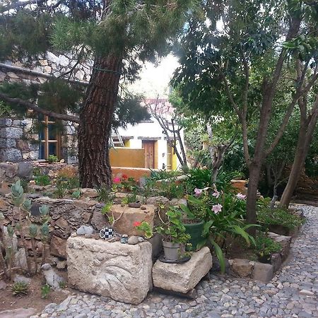 شقة Casa Curtos Catorce الغرفة الصورة