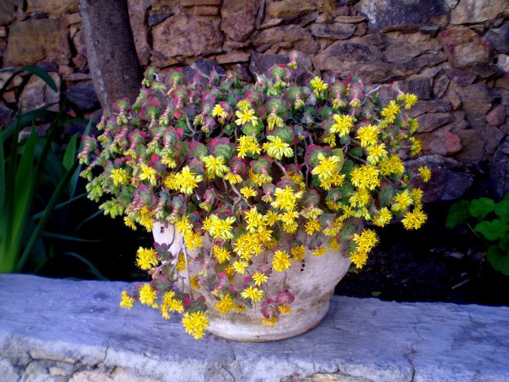شقة Casa Curtos Catorce الغرفة الصورة